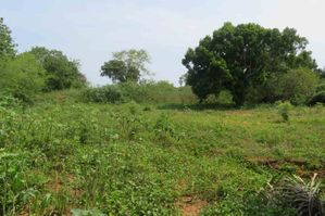 Land for Sale Homagama Pitipana