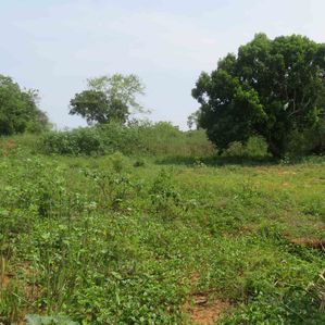 Land for Sale Homagama Pitipana - Image 2