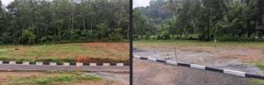 Land for Sale Meepe