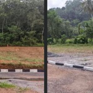 Land for Sale Meepe - Image 2