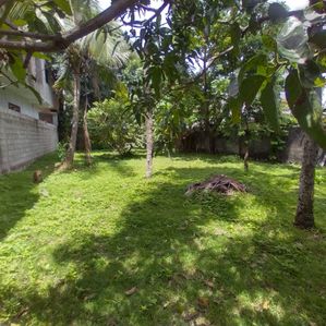 Kalubowila Prime Land for Sale - Image 3