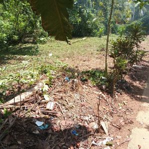 Residential Land For Sale Poddala - Image 2