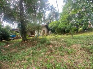 Single Story House on 93.00 Perch Land For sale in Kadawatha H2165