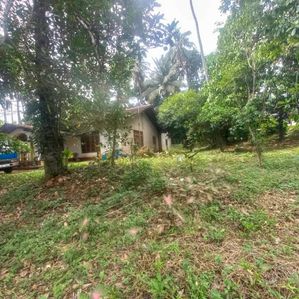 Single Story House on 93.00 Perch Land For sale in Kadawatha H2165 - Image 2