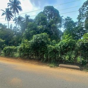 Single Story House on 93.00 Perch Land For sale in Kadawatha H2165 - Image 3