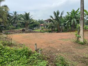 Land for Sale in Dikhenapura - Horana