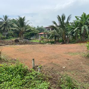 Land for Sale in Dikhenapura - Horana - Image 2