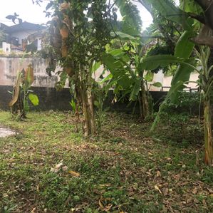 Land for Sale Kottawa - Image 3