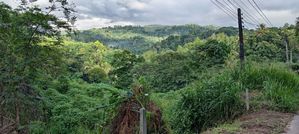 Land for Sale in Peradeniya - Alapalawala 25 Perch