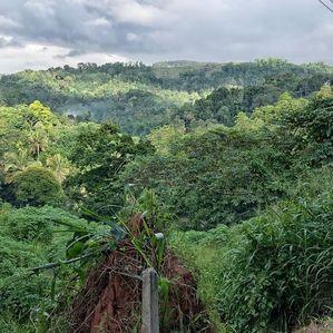 Land for Sale in Peradeniya - Alapalawala 25 Perch - Image 2