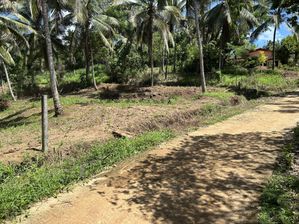 Land for Sale in Balawinna, Godakawela