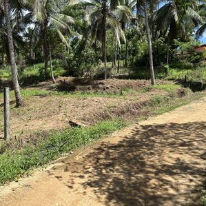 Land for Sale in Balawinna, Godakawela - Image 2
