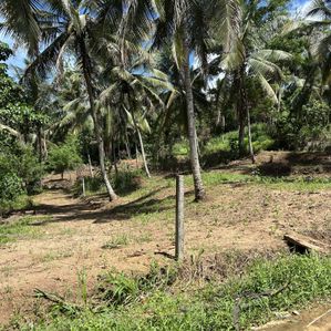 Land for Sale in Balawinna, Godakawela - Image 3