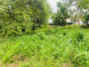 Land for Sale Ambalantota