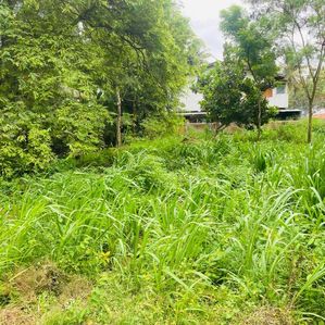 Land for Sale Ambalantota - Image 2