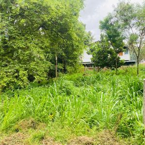 Land for Sale Ambalantota - Image 3