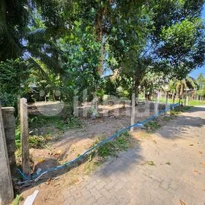 Valuable Land For Sale Ja Ela - Gampaha - Image 3