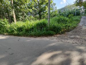 Land For Sale Near Mawanella Town