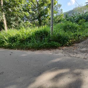 Land For Sale Near Mawanella Town - Image 2