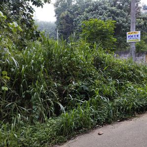 Land For Sale Near Mawanella Town - Image 3