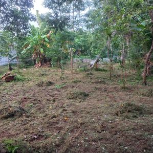 Land for Sale in Hikkaduwa - Image 2