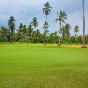 Land for Sale - Negombo TR 293 - Image 3