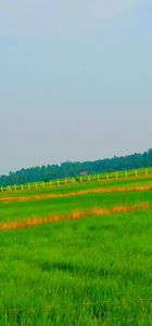 Agriculture Land for Sale Kilnochchi