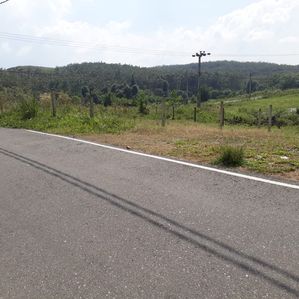 Land for Sale Meepe - Image 2