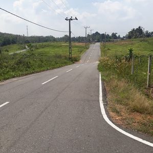 Land for Sale Meepe - Image 3