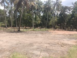 land for sale in nattandiya