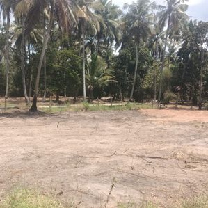 land for sale in nattandiya - Image 2