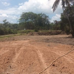 land for sale in nattandiya - Image 3