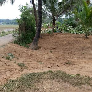 කුරුනෑගල නගරයට ආසන්නව අගනා ඉඩමක් - Image 3