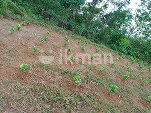 Land For Sale In Kuruwita