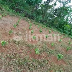 Land For Sale In Kuruwita - Image 2