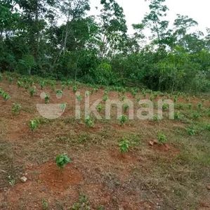 Land For Sale In Kuruwita - Image 3