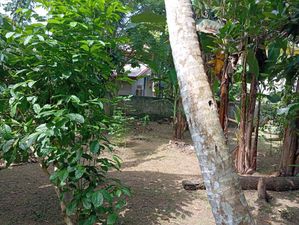 Land for Sale Mirigama
