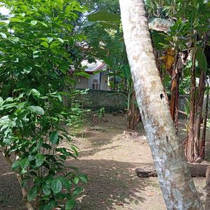 Land for Sale Mirigama - Image 2
