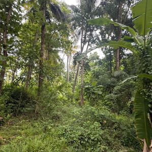 Land for sale in Kurunegala - Image 3