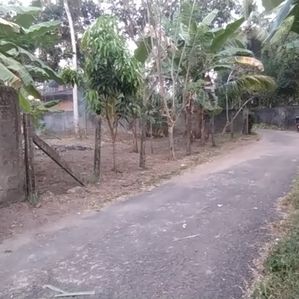 15 P Land -සීදුව කොටුගොඩ - Image 3