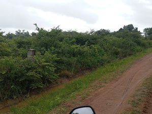 Land for Sale Anamaduwa
