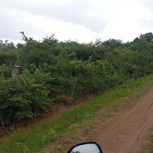 Land for Sale Anamaduwa - Image 2