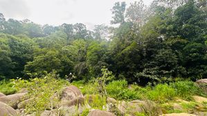 Land for Sale in Laxapana