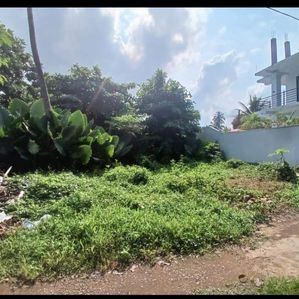 Land Sale Aluthgama - Image 2