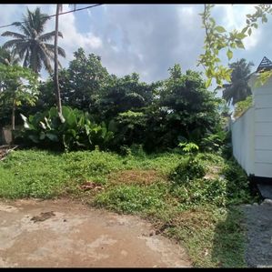 Land Sale Aluthgama - Image 3