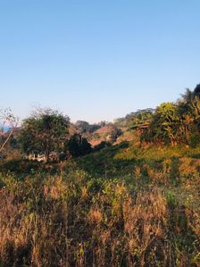 Kandy Scenic Flat Land for Sale