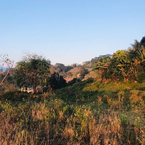 Kandy Scenic Flat Land for Sale - Image 2