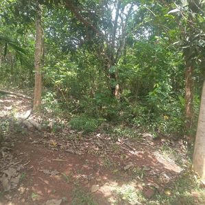මාතර තල්පාවිලින් පර්චස් 10 ක අගනා බිම් කැබැල්ලක් විකිණීමට - Image 2