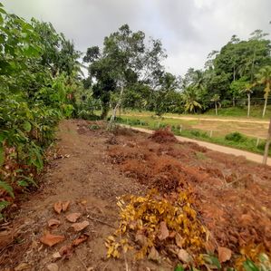 Land for Sale - Aluthgama, Kalavila - Image 2