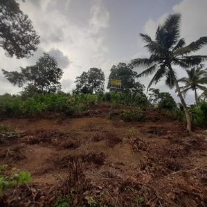 Land for Sale - Aluthgama, Kalavila - Image 3